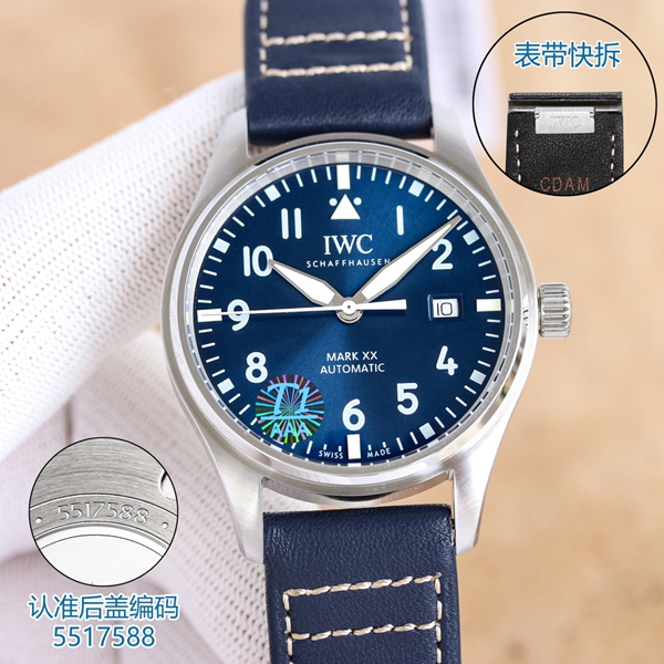 アイ・ダブリュー・シー背面デザイン